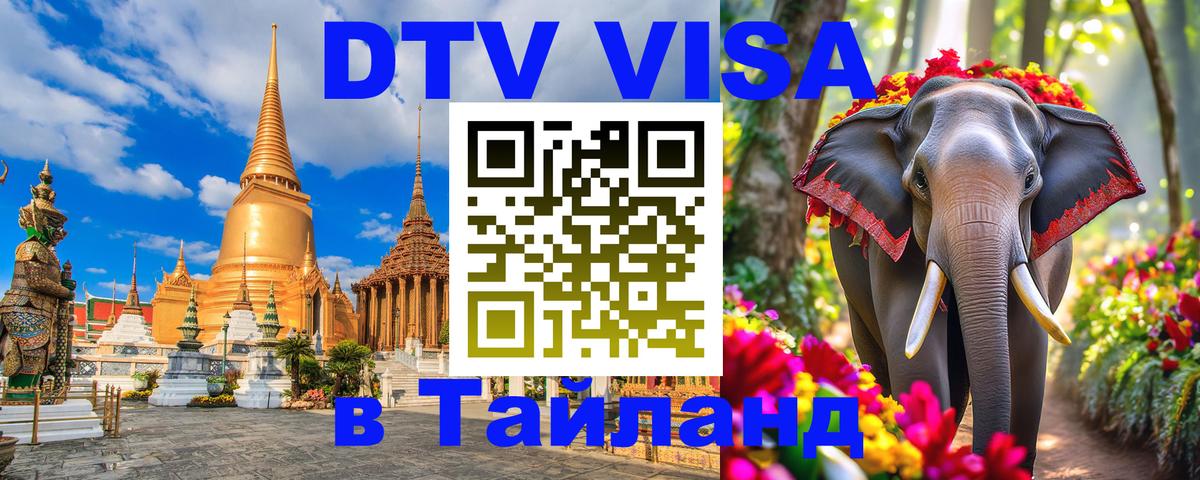 Сколько стоит DTV виза — актуальные цены, оформление даже без документов - 19.11.2025 